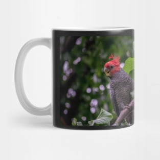 Gang Gang Cockatoo Mug